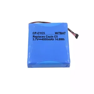 New genuine battery for Cayin C5